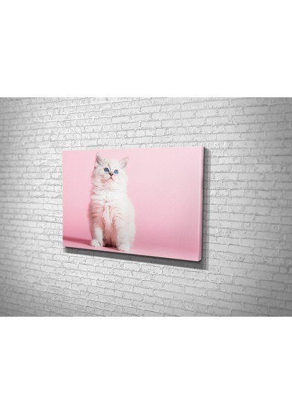 Kedi Kanvas Tablo modelleri