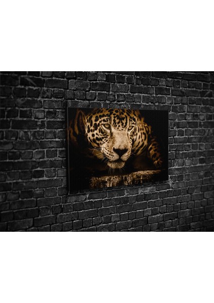 Jaguar Kanvas Tablo