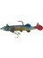 LW009 10CM. Turna BALIĞI-J151 1