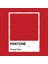 Pantone - Period Red Kupa Bardak 2