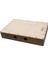 Kajon + Seyahat Cajon + Pro Shaker + Kılıf 3