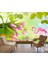Flamingo Desenli Duvar Kağıdı 1