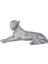 Leopar Biblo 1