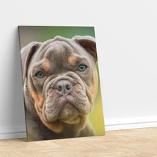Deko Gonya Yavru Buldog Köpek Dikey Dekoratif Kanvas Tablo