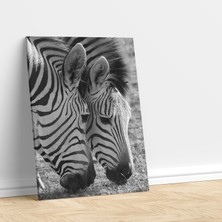 Deko Gonya Zebra Aşkı Dekoratif Kanvas Tablo