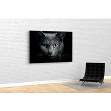 Tablo 360 Kara Kedi Kanvas Tablo