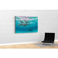 Tablo 360 Yunuslar  Kanvas Tablo