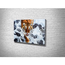 Tablo 360 Kaplan  Kanvas Tablo