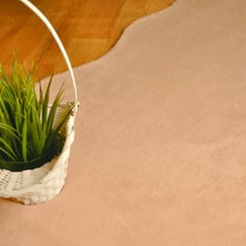 Tappeto Rex Tavşanı Kısa Tüylü Post Peluş Pudra
