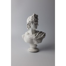 Dekor Apollon Büst Heykel Biblo