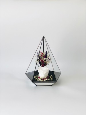 Vitrayverteks Solmayan Gül Teraryum Cam Fanus