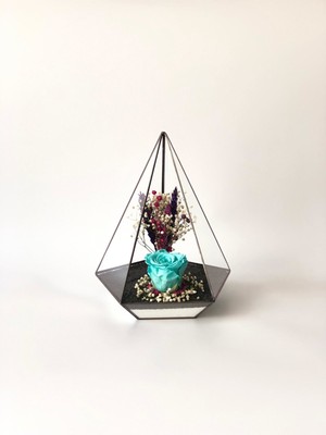 Vitrayverteks Solmayan Gül Teraryum Cam Fanus