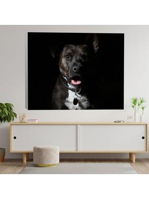 Deko Gonya Siyah Sevimli Rotvaydır Köpek Dekoratif Kanvas Tablo