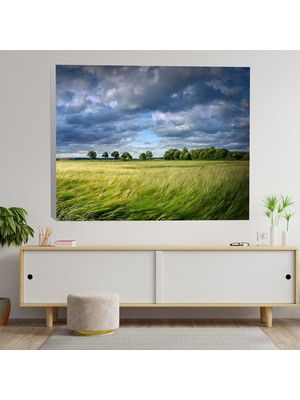 Deko Gonya Tahıl Hububat Temalı Dekoratif Kanvas Tablo