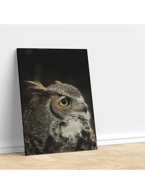 Deko Gonya  Yakın Çekim Baykuş Dekoratif Kanvas Tablo