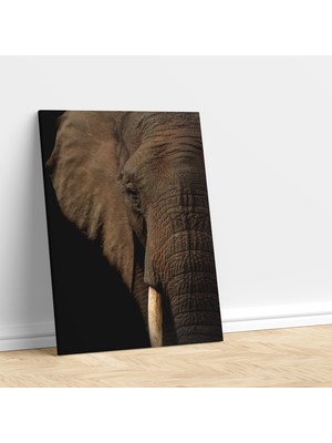 Deko Gonya Yakın Çekim Fil Dişi Temalı Dekoratif Kanvas Tablo