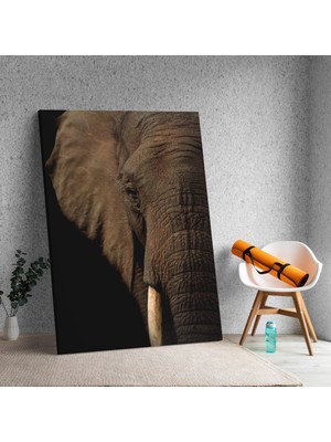 Deko Gonya Yakın Çekim Fil Dişi Temalı Dekoratif Kanvas Tablo