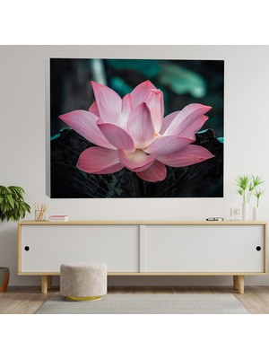 Deko Gonya Yakın Çekim Lotus Çiçeği Dekoratif Kanvas Tablo