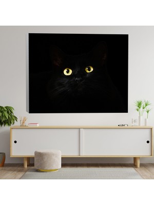 Deko Gonya Yakın Çekim Siyah Kedi Dekoratif Kanvas Tablo