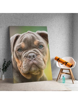 Deko Gonya Yavru Buldog Köpek Dikey Dekoratif Kanvas Tablo