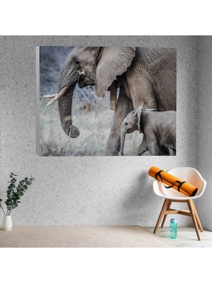 Deko Gonya Yavru Fil ve Anne Fil Dekoratif Kanvas Tablo