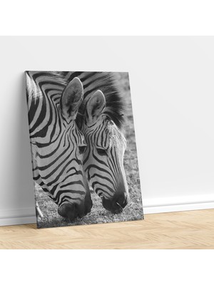 Deko Gonya Zebra Aşkı Dekoratif Kanvas Tablo
