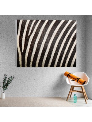 Deko Gonya Zebra Desenli Dekoratif Kanvas Tablo