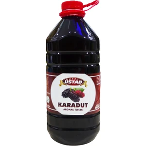 Hacı Üstad Karadut Şurubu 3 lt