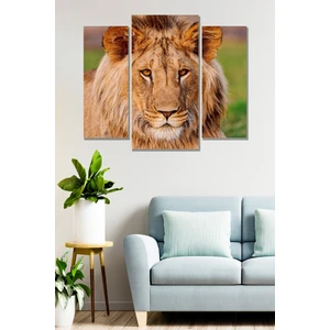 Düş Duvarı 3 Parça Aslan  Desenli Mdf Duvar Tablosu