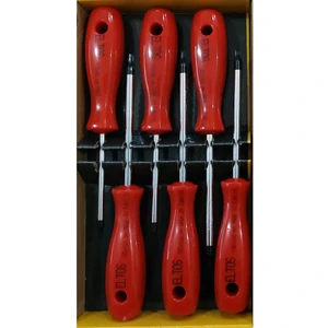 Torx Tornavida Seti 6 Parça