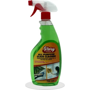 Çok Amaçlı Cam Temizleyici 750 ml
