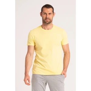 Yuvarlak Yaka Normal Fit Erkek Sarı Tişört, %100 Pamuk Basic Erkek Tshirt