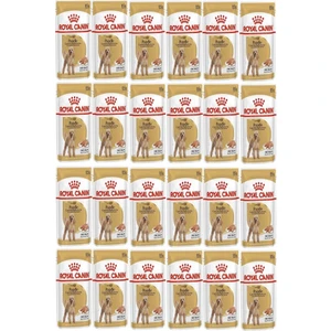 Royal Canin Adult Poodle Caniche Tüy Sağlığı Destekleyici Yetişkin Köpek Konservesi 85 gr x  24