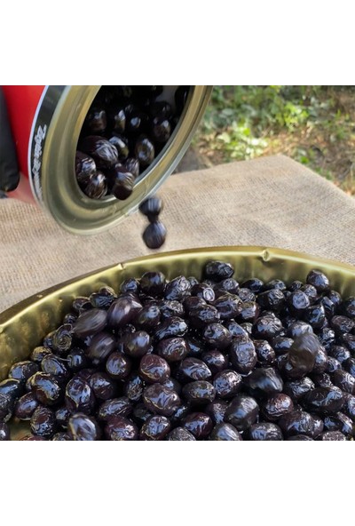 Zeytin Ana Az Tuzlu Gemlik Köy Selesi 1 KG