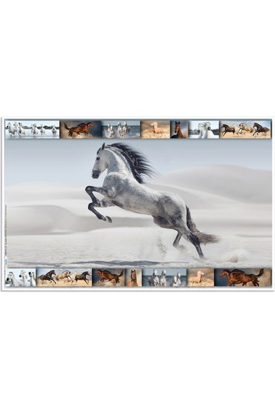 Herma Sümen Takımı - Desk Pad - Atlar