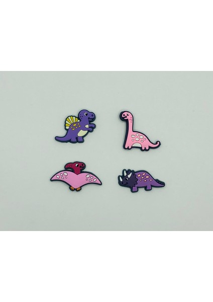 Crocs Jibbitz Terlik Süsü 4'lü Set CJ411