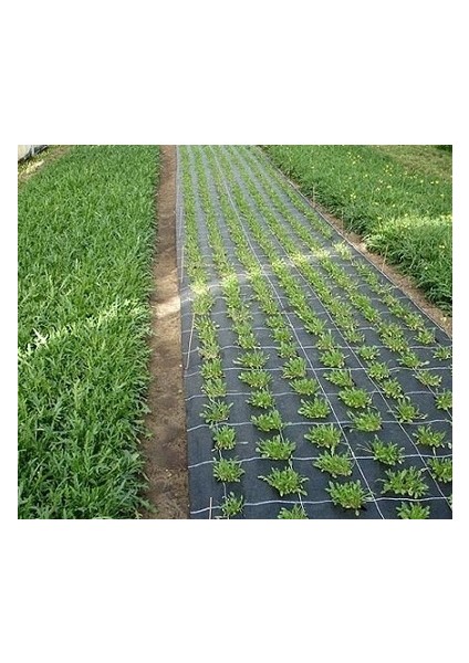 Taban Örtüsü 105CM x 20 Metre Sera Taban Örtüsü Jüt Taban Örtüsü Malçlama Örtüsü Yer Örtüsü