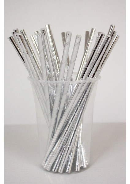 Kağıt Pipet Metalize Gümüş 22CM 25LI