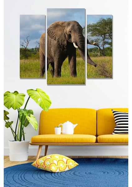 3 Parça Afrika Safari Fil Desenli Mdf Duvar Tablosu