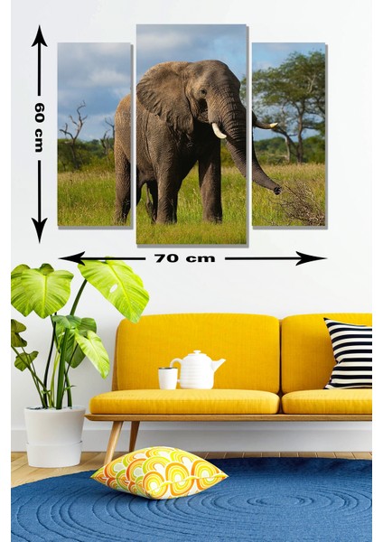 3 Parça Afrika Safari Fil Desenli Mdf Duvar Tablosu fiyatları