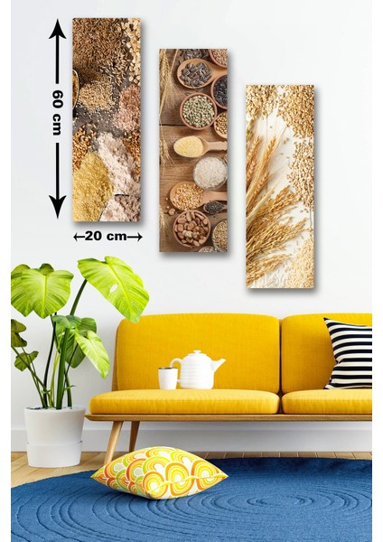 3 Parça Arpa Buğday Hububat Desenli Mdf Duvar Tablosu
