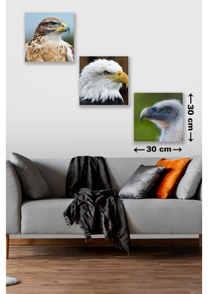 3 Parça Safari Kartal Desenli Mdf Duvar Tablosu fiyatları