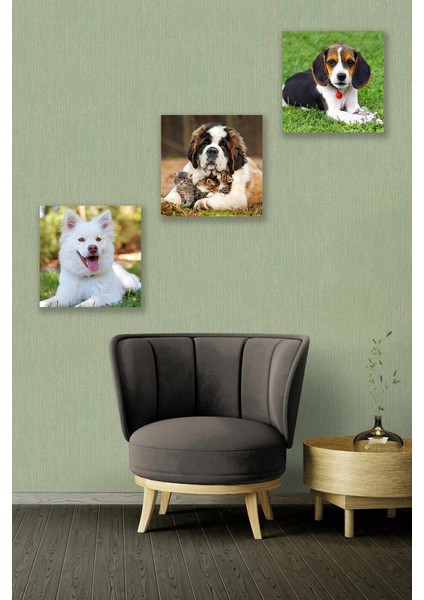 3 Parça Yavru Köpek Desenli Mdf Duvar Tablosu