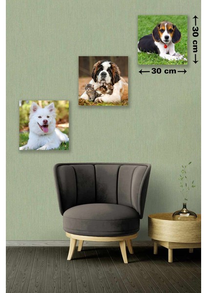 3 Parça Yavru Köpek Desenli Mdf Duvar Tablosu