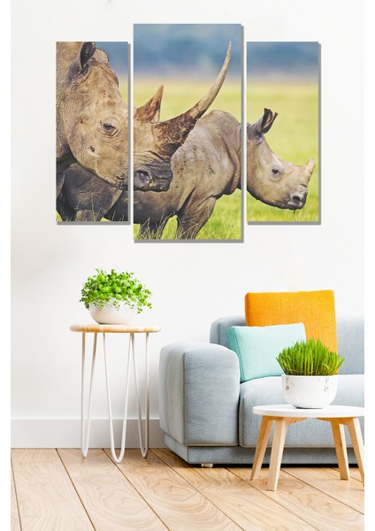 3 Parça Safari Afrika Desenli Mdf Duvar Tablosu