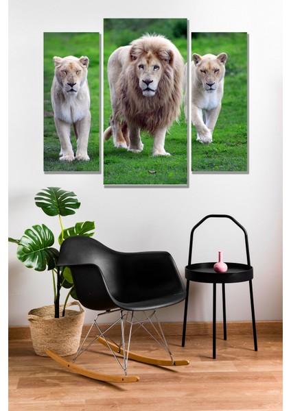 3 Parça Aslan Orman Kral Desenli Mdf Duvar Tablosu