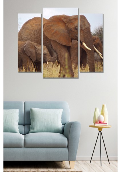 3 Parça Fil Safari Desenli Mdf Duvar Tablosu