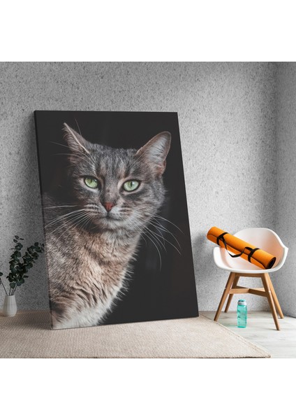 Yakın Çekim Kedi Temalı Dekoratif Kanvas Tablo