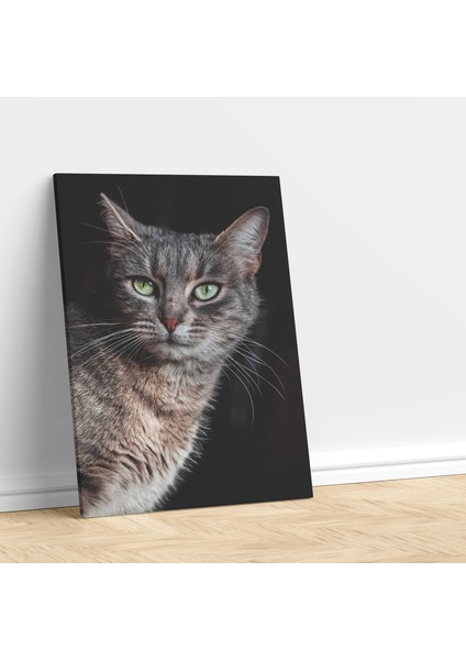 Yakın Çekim Kedi Temalı Dekoratif Kanvas Tablo fiyatları