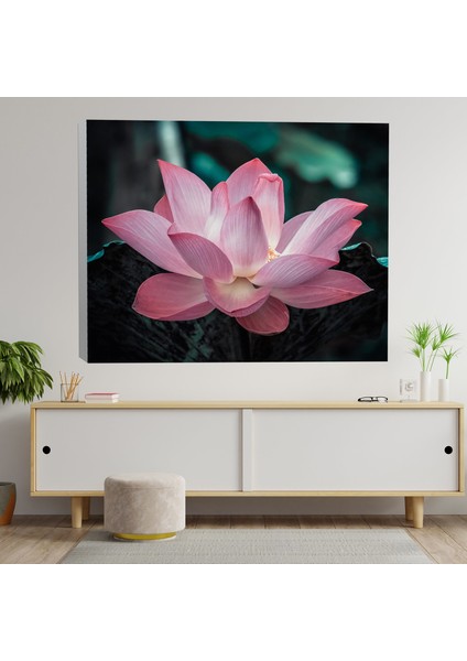 Yakın Çekim Lotus Çiçeği Dekoratif Kanvas Tablo